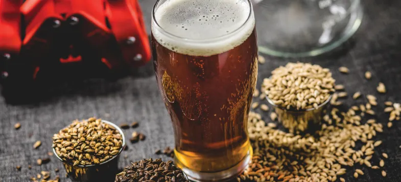  啤酒发酵过程大揭秘！vAPCI+CMS 联用新技术若何急剧捉拿韵渭码？